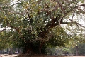 44_ angkor_wat_022